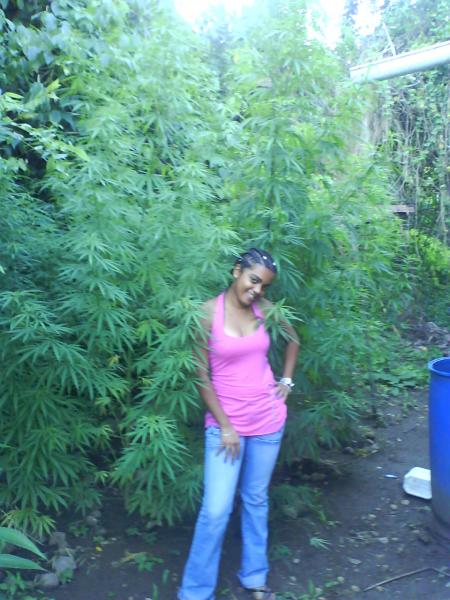 actrice mafia mwen